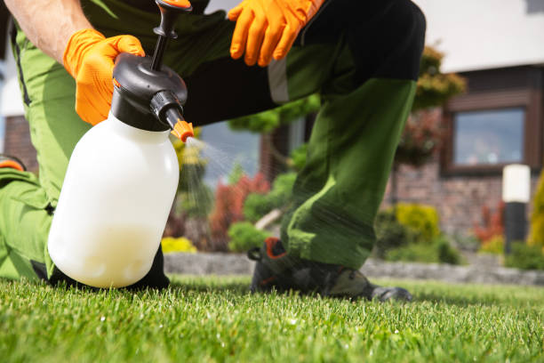 Best Residential Pest Control  in Richland, MO