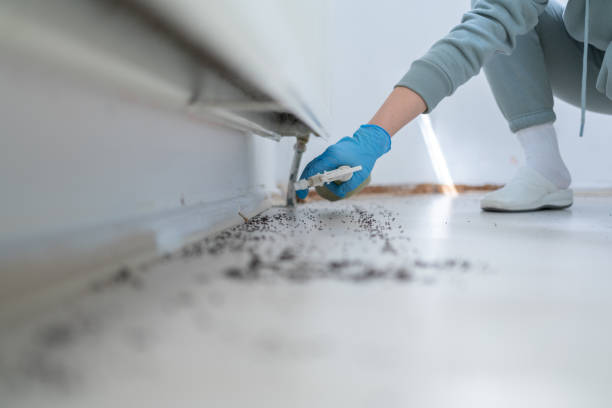 Professional Pest Control in Richland, MO